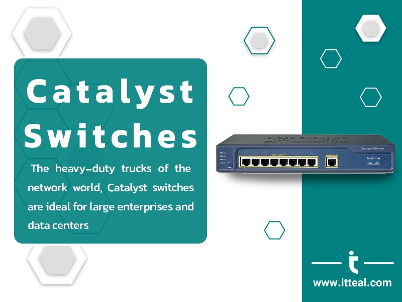 Infographic titled 'Catalyst Switches' with a description reading 'The heavy-duty trucks of the network world, Catalyst switches are ideal for large enterprises and data centers