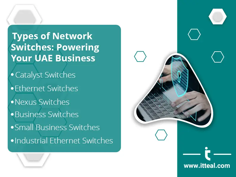 Infographic titled 'Types of Network Switches: Powering Your UAE Business' listing different switch types: Catalyst Switches, Ethernet Switches, Nexus Switches, Business Switches, Small Business Switches, Industrial Ethernet Switches. The image includes a graphic of a person typing on a laptop with a digital shield overlay
