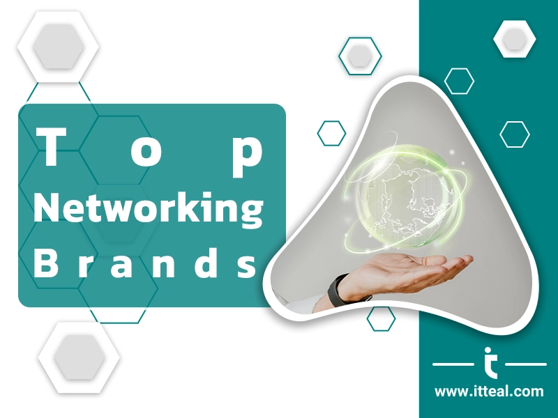 A hand holding a globe representing the global reach of top networking brands.